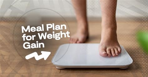 Day Weight Gain Meal Plan For Females How To Gain Weight And Build