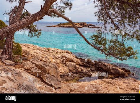 Cala Comtesa At Illetes On Mallorca Island The Balearic Islands Spain