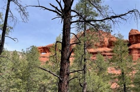 Hike Secret Canyon Tall Canyon Walls And Solitude Wildpathsaz