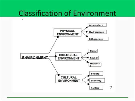 Btech I Es Unit 1 Environment Ecology And Ecosystem