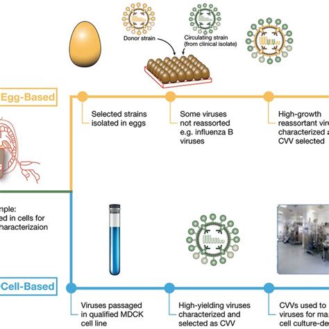 20087 PDFs | Review articles in H3N2