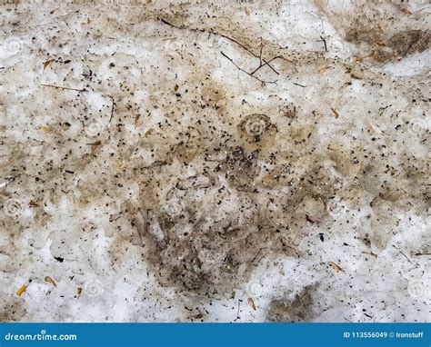 texture  dirty snow stock image image  snowdrift