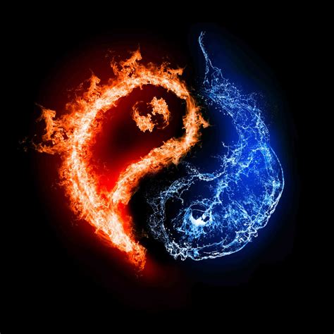 El Ying Y El Yang En Los Humanos