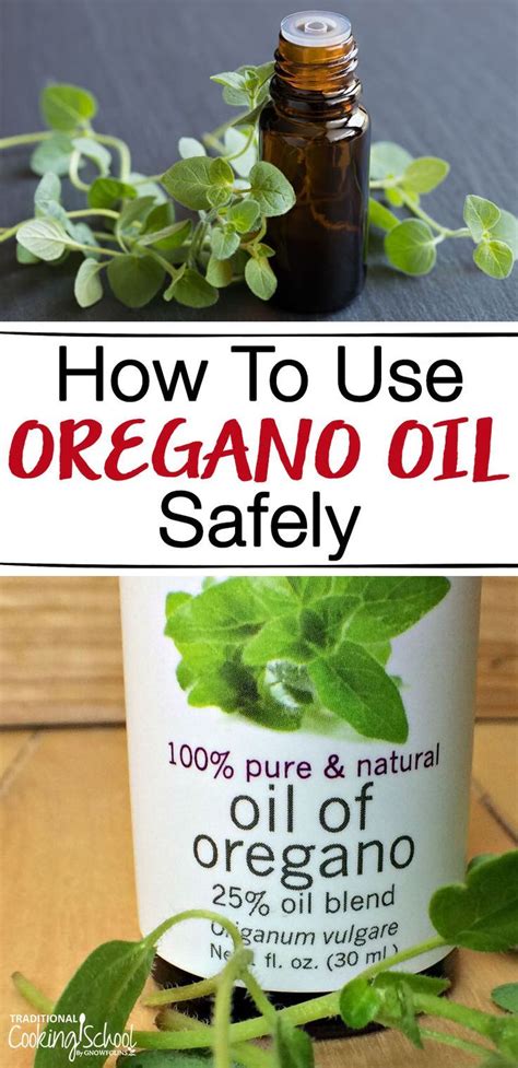 How To Use Oregano Oil Safely Oregano Essential Oil Oregano Oil