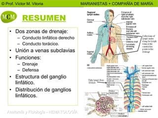 SISTEMA LINFATICO PPT