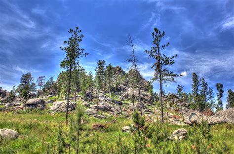 Landscape on the mountain in Custer State Park, South Dakota image ...