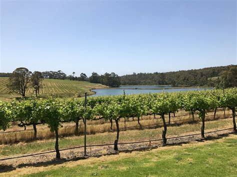 Unmissable Vineyards Wineries To Visit In The Margaret River