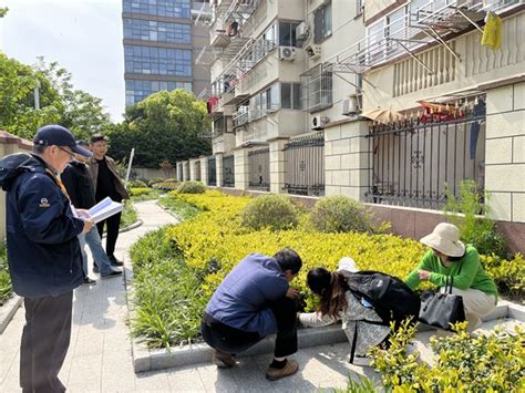 崇川审计关注老旧小区改造绿化资金使用情况 南通市人民政府