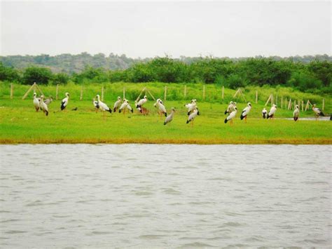 Damdama Lake Gurgaon - Entry Fee, Packages, Resorts