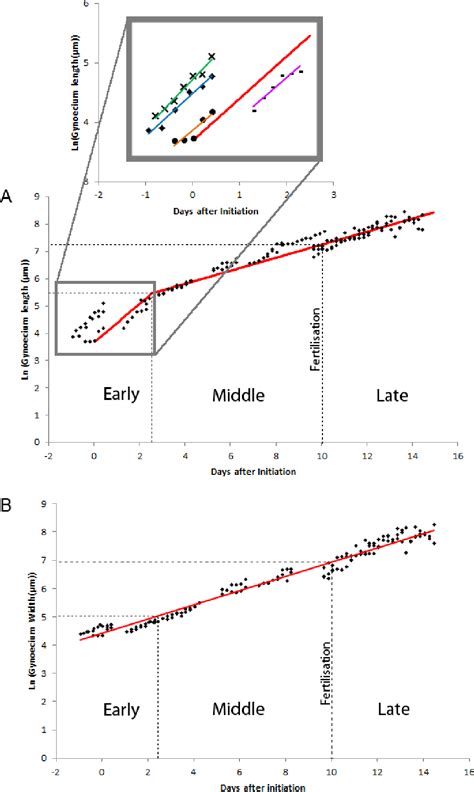 Capsella Rubella Semantic Scholar