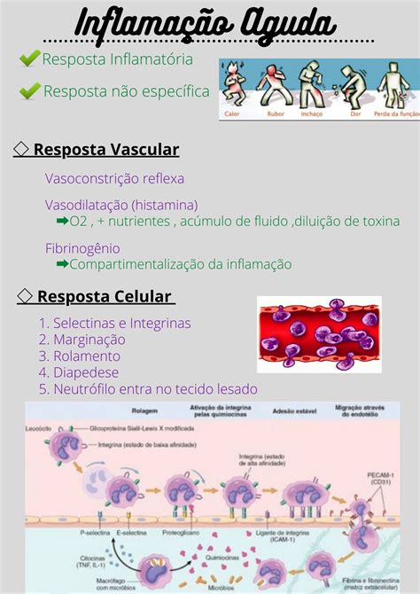 Inflamação Imunologia Imunologia Básica