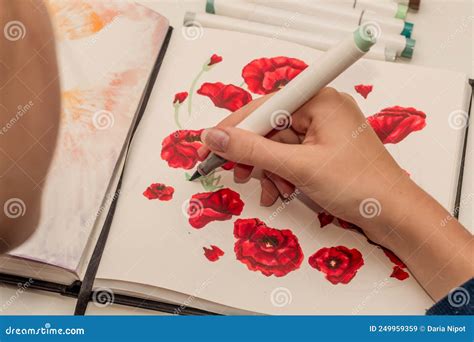 Hand Drawing A Red Poppy Wreath Sketch In A Sketchbook With Alcohol