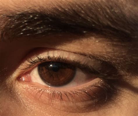 The Most Beautiful Eyes Ive Seen Brown Eyes Aesthetic Brown Eyes