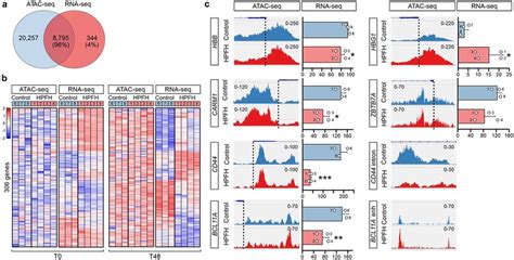 Integration Of Atac Seq And Rna Seq Analysis A Venn Diagram