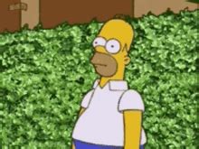 Simpsons Homer Bush GIF | Morsodifame Blog