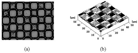 A Microscopic Image Of Ps Patterns On The Pi Layer And B