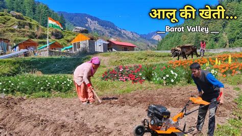 पहाड़ो में कर दी आलू की खेती Pahadi Lifestyle Vlog Barot Valley