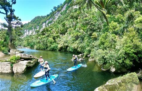 Walks, tramping & hiking in Punakaiki - Official Punakaiki Tourism Website