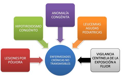 Enfermedades Cr Nicas No Transmisibles Secretar A Local De Salud Y