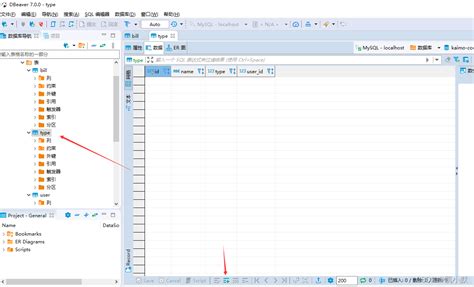 怎么使用可视化数据库工具 Dbeaver 在账单类型 Type 表里添加数据？ 阿里云开发者社区