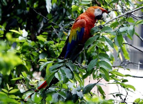 Medellín Refuerza Defensa De La Biodiversidad