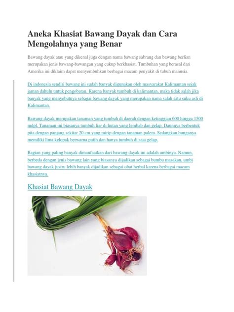 Kekayaan Khasiat Bawang Dayak Dan Cara Pengolahannya Pdf