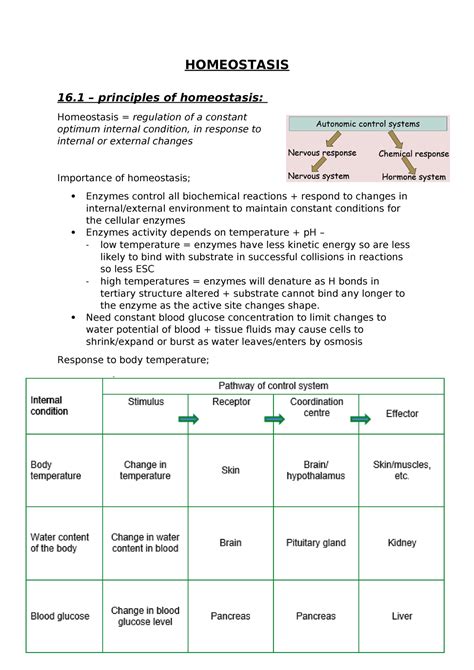 Homeostasis Notes Homeostasis 16 Principles Of Homeostasis