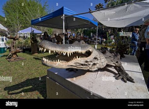 Alligator Wood Carving Hi Res Stock Photography And Images Alamy
