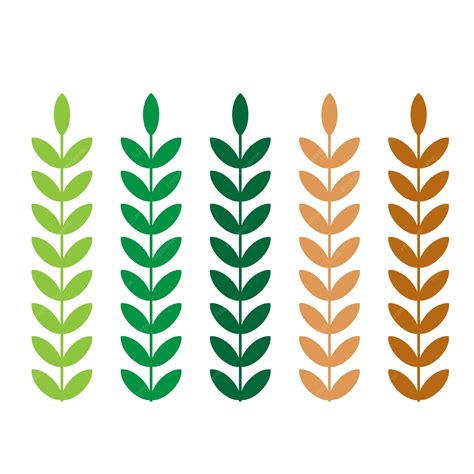 Premium Vector | Vector various shapes leaf