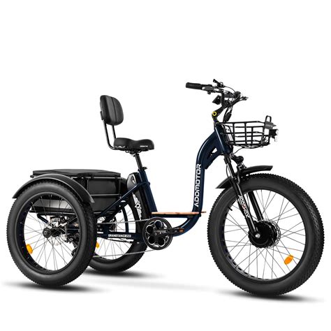 Addmotor Electric Trike 750W Electric Tricycle For Adults M 340 Plus 3