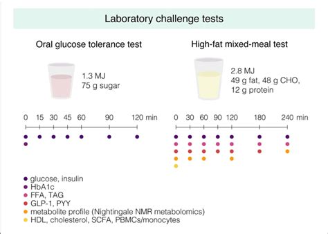 Graphical Overview Of The Oral Glucose Tolerance Test And The