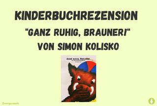 Buchrezension Simon Kolisko Informativer Blogbeitrag