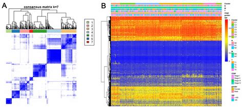 Molecular Subtypes Based On Dna Promoter Methylation Predict Prognosis