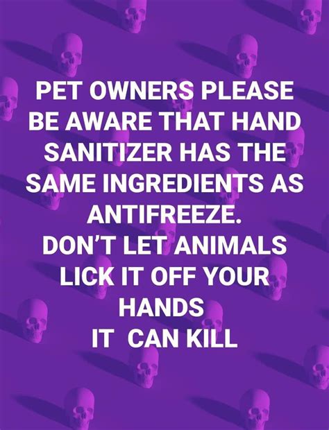 Please Keep Your Dogs Safe Xx A Dogs Tail Canine Services
