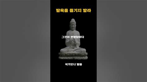 석가모니 부처님 말씀 불경 법구경 탐욕을 즐기지 말라ㅣ불교명언ㅣ인생조언ㅣ깨달음 Youtube