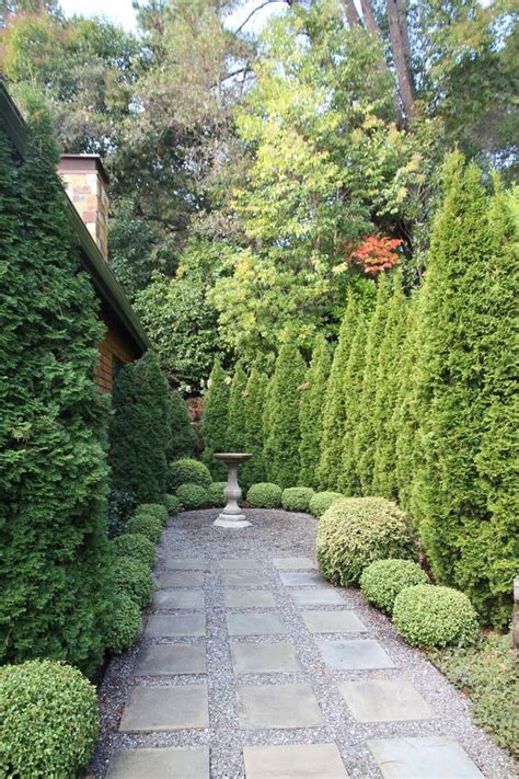 Best Arborvitae Landscaping Ideas For An Evergreen Backyard Best