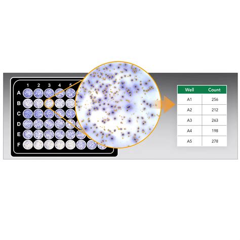 Agilent Biotek Cytation Cell Imaging Multimode Reader Chemetrix