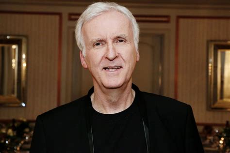 This Is Pure Desperation James Cameron Bashed One Liam Neeson Movie