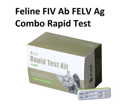 Fiv Ab Felv Ag The Feline Immunodeficiency Virus Antibody Leukemia Viru