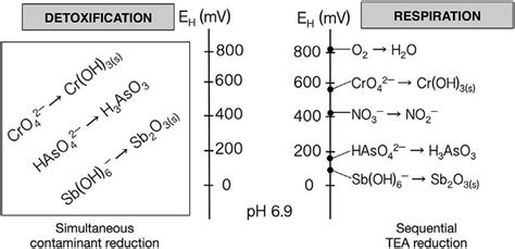 Redox Scale Showing The Theoretical Succession Of Redox Potentials E H Download Scientific