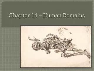 PPT Chapter 14 Evolution And Human Health PowerPoint Presentation