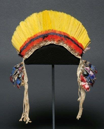 Brazil Men S Headdress Crown Made From Macaw And Toucan Feathers From The Urubu Kaapor People