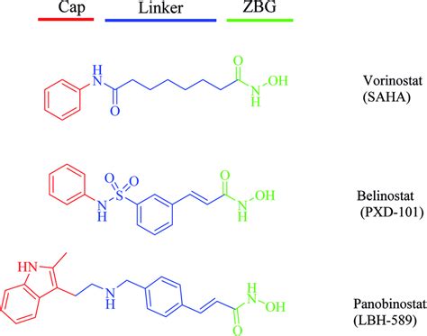 Representative structures of HDAC inhibitors. | Download Scientific Diagram