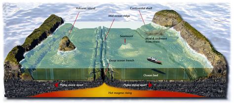 Sea Floor Ocean Floor Drawing Sediment on the seafloor originates from a variety of sources ...