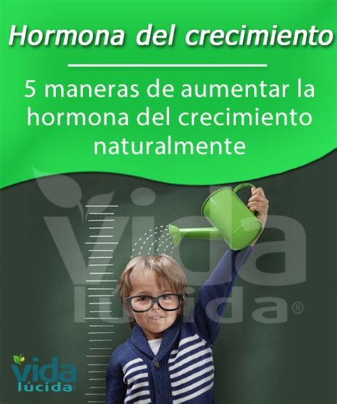 5 Maneras De Aumentar La Hormona Del Crecimiento Naturalmente Hormona