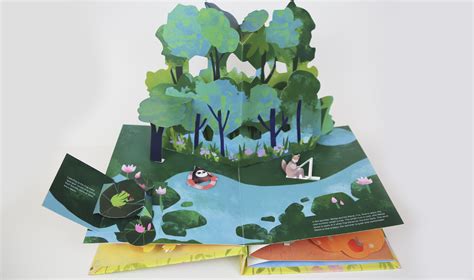 Pop Up Diy Book