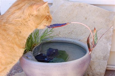 The Advent Of The Handmade Cat Fountain