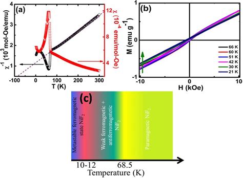 A Temperature Dependent Magnetic Susceptibility Red Curve And