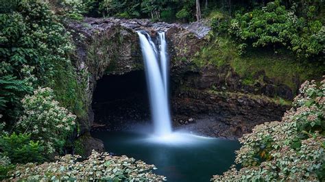 Rainbow Falls Hilo Hawaii Trees River Rocks Pond Usa Hd