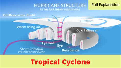 Tropical Cyclone Formation Diagram